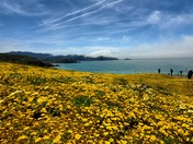 Golden Gate National Recreation Area