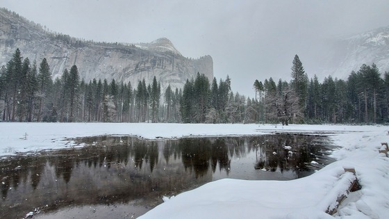 Yosemite National Park