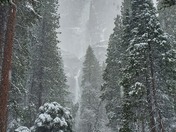 Yosemite National Park