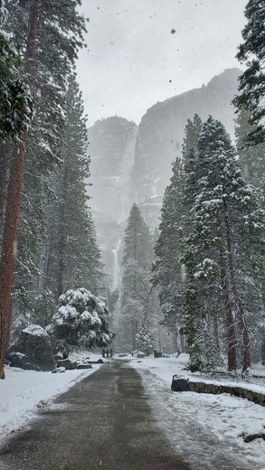 Yosemite National Park