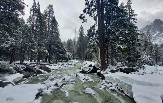 Yosemite National Park