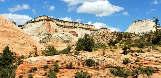 Zion National Park