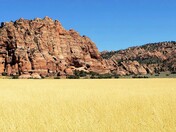 Zion National Park -Kolob Terrace