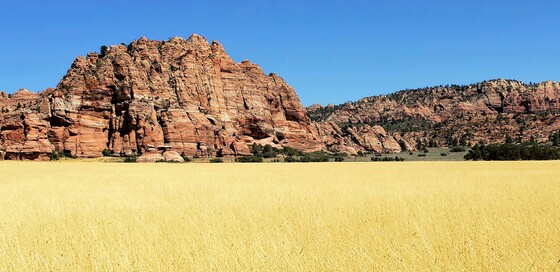 Zion National Park -Kolob Terrace