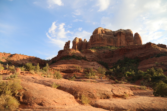 Coconino National Forest
