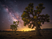 Death Valley National Park