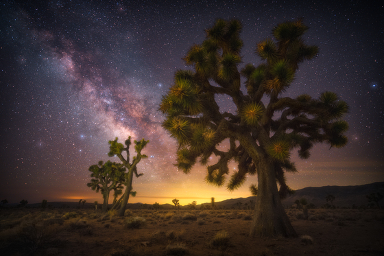 Death Valley National Park