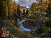 Uncompahgre National Forest