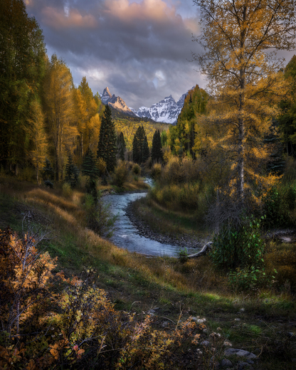 Uncompahgre National Forest