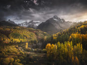 Uncompahgre National Forest