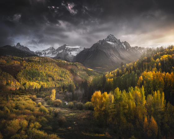Uncompahgre National Forest