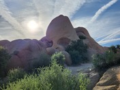 Joshua Tree National Park