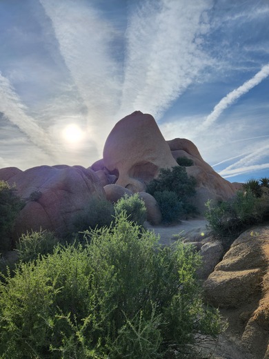 Joshua Tree National Park