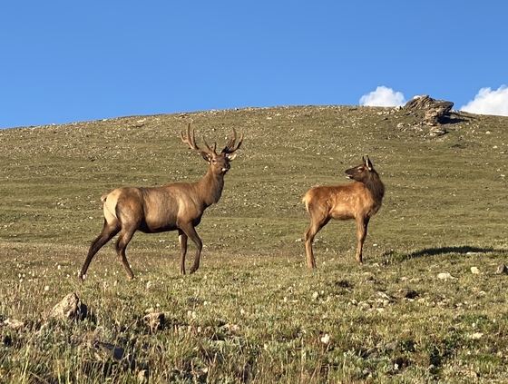 Rocky Mountain National Park 