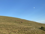 Rocky Mountain National Park