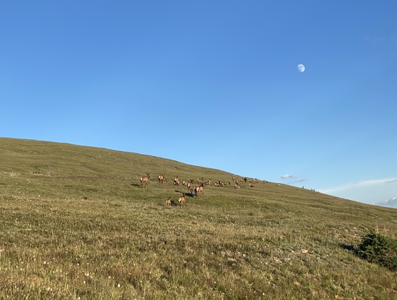 Rocky Mountain National Park