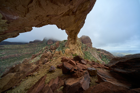 Organ Pipe Cactus National Monument