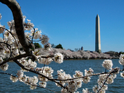 National Mall & Memorial Parks
