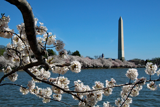 National Mall & Memorial Parks