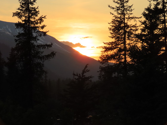 Kenai Fjords National Park and Chugach National Forest