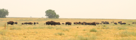 Rocky Mountain Arsenal National Wildlife Refuge