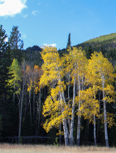 Rocky Mountain National Park