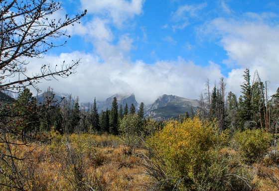 Rocky Mountain National Park