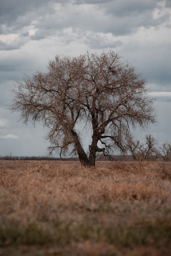Rocky Mountain Arsenal National Wildlife Refuge