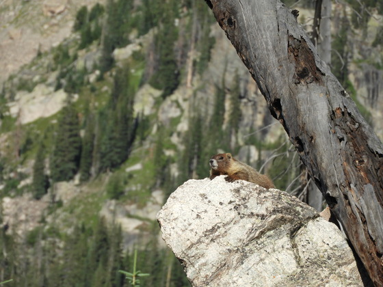 Rocky Mountain National Park