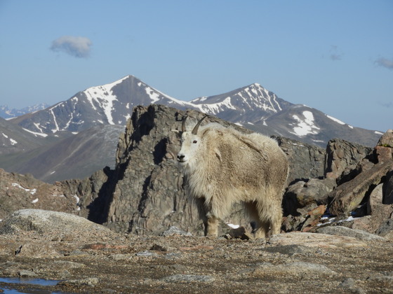 Mount Evans Recreation Area & Scenic Byway