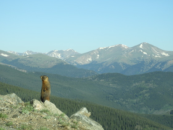 Mount Evans Recreation Area & Scenic Byway