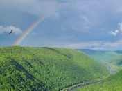 New River Gorge National Park and Preserve