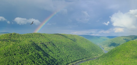 New River Gorge National Park and Preserve