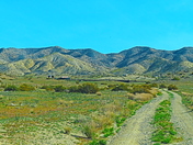 Carrizo Plains National Monument