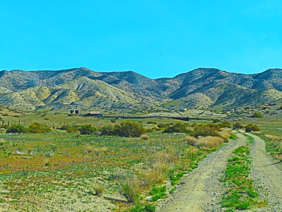 Carrizo Plains National Monument