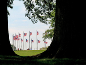 National Mall & Memorial Parks