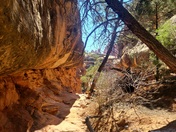 Canyonlands National Park