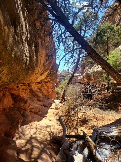 Canyonlands National Park