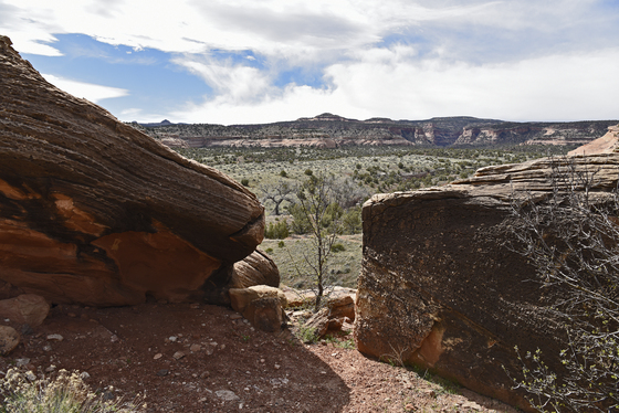 McInnis Canyons National Conservation Area 