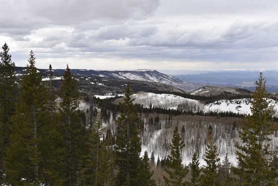 Grand Mesa National Forest 