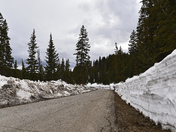 Grand Mesa National Forest 
