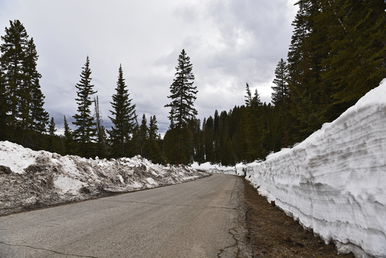 Grand Mesa National Forest 