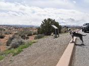 Arches National Park 