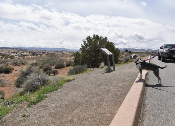 Arches National Park 
