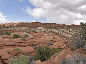 Arches National Park 