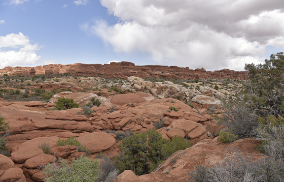 Arches National Park 