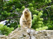Glacier National Park