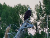 Grand Teton National Park