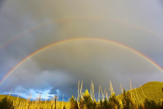 Yellowstone National Park