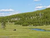 Yellowstone National Park